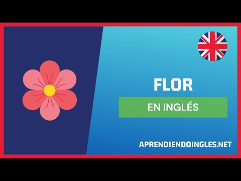 ✅ CÓMO se dice FLOR en INGLÉS 2023 🚀 APRENDE A ESCRIBIR FLOWER ✨ PRONUNCIACIÓN FLOR EN INGLES 2024