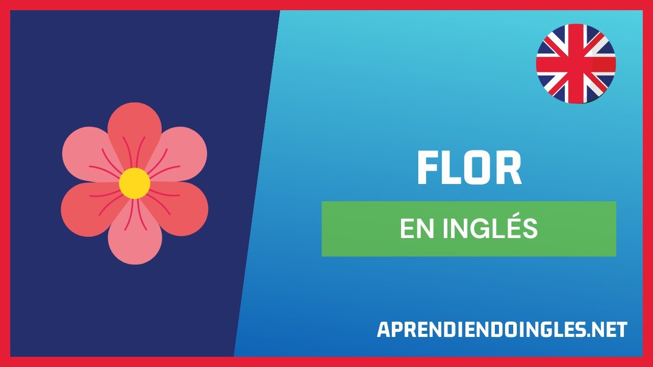 CÓMO se dice FLOR en INGLÉS 2023 🚀 APRENDE A ESCRIBIR FLOWER ...
