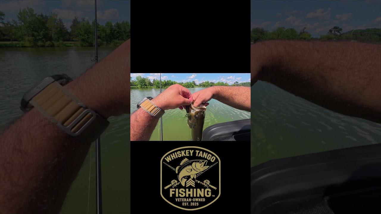 WTF Daily Catch Cam 175