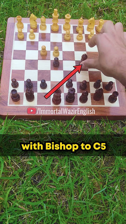 100,000  Fooled by This Chess Trap!