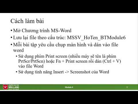 Video Module 6 Video 1 - youtube