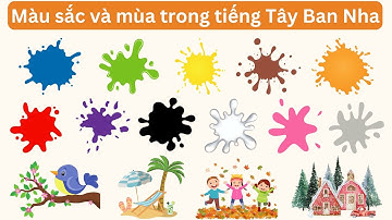 Từ vựng về Màu sắc và Mùa trong tiếng Tây Ban Nha | Tiếng Tây Ban Nha cho người mới bắt đầu