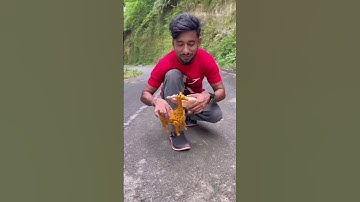 Rc Giraffe and Camel Unboxing First Time #ytshorts #toyswala