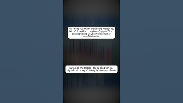 Hải Phòng chơi lớn: Mở hẳn cảng 73ha "Cân" luôn 2 tàu container khủng nhất thế giới! #shorts