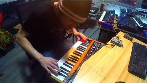 Crazy Synthesizer Solo // Going mad with my Behringer Poly D