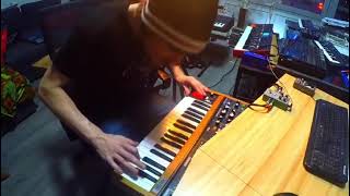 Crazy Synthesizer Solo // Going mad with my Behringer Poly D