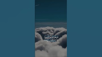 تلاوة خاشعة #قرآن #اكسبلور #trendingvideo #دويتو #tanding #راحة_نفسية #fypp #تيك_توك #لايك