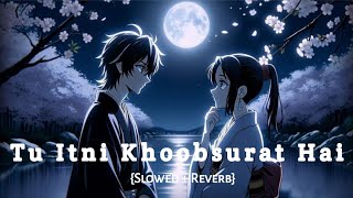 Tu Itni Khoobsurat Hai (Slowed   Reverb) | Amjad Nadeem | Barkhaa | New Hindi Song 