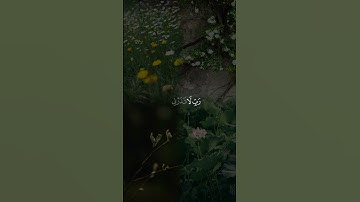 فَاسْتَجَبْنَا لَهُ وَنَجَّيْنَاهُ مِنَ الْغَمِّ ۚ ||تلاوة خاشعة جميلة بصوت#هزاع_البلوشي