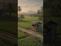 life in village