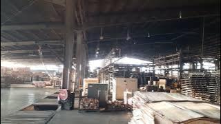 morning working..asia plywood company..