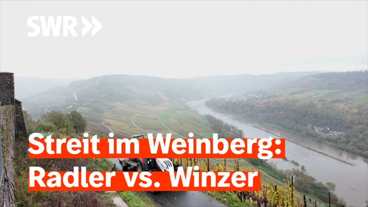 Radler gegen Winzer – Diskussion um den Moselhöhenradweg | Zur Sache Rheinland-Pfalz