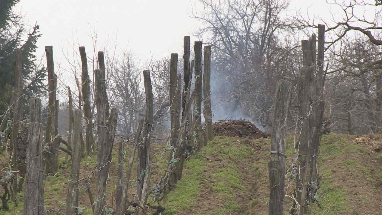 hogyan égethető a makacs derékrész