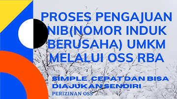 PROSES  PENGAJUAN NIB(NOMOR INDUK BERUSAHA) UMKM MELALUI OSS RBA
