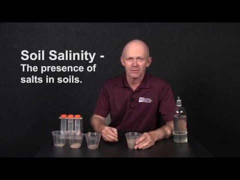 Visualizing Soil Properties: The Saturated Paste Soil Test