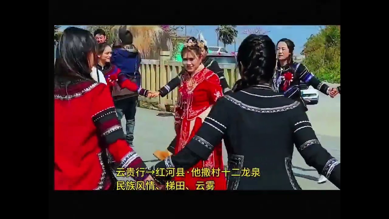 云南的十二龙泉#旅行