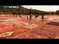 Handmade carpets industry flourishes in Turkey | Money Talks