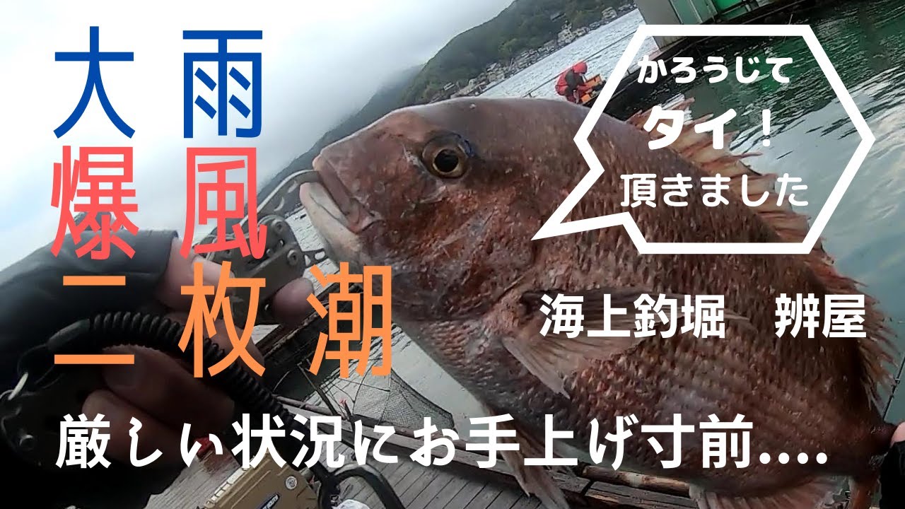 海上釣堀の三重苦 大雨 爆風 二枚潮にお手上げ Litetube