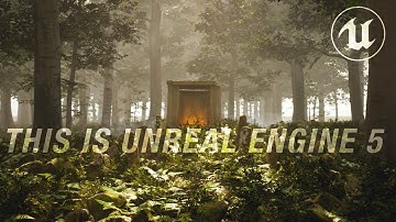 A Walk in the Woods: Realtime Forest in Unreal Engine 5