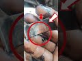 🔴ape ஆட்டோ இந்தப் ( le ) பேரிங் மிக ஆபத்து உடனே மாற்ற வேண்டும்.??