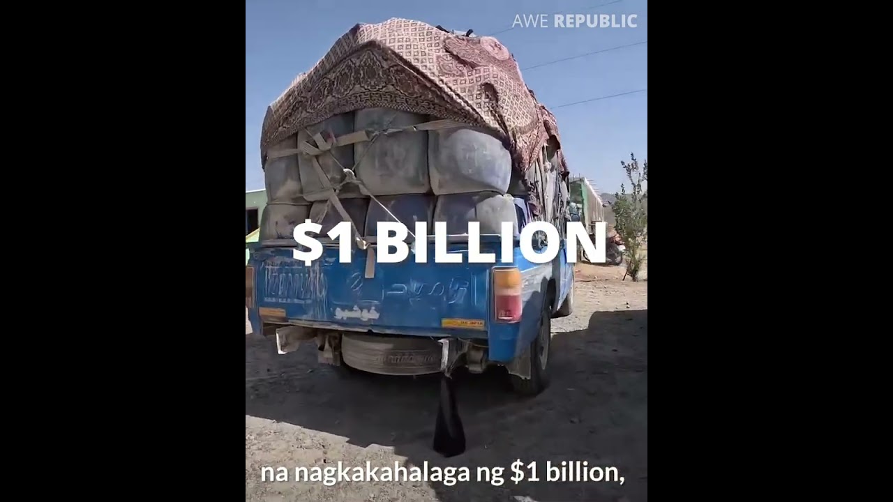 Hanap buhay na nila ang pagnanakaw.