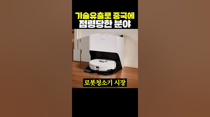 기술유출로 중국에 점령 당한 분야