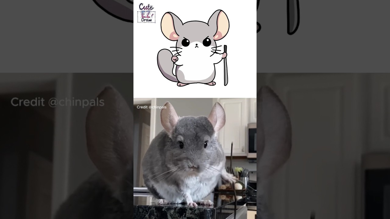 Cute Ninja Chinchilla Easy Drawing, Subscribe for more Cute Pet Drawing ❤️