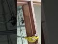 #pop #home #motivationalvideo