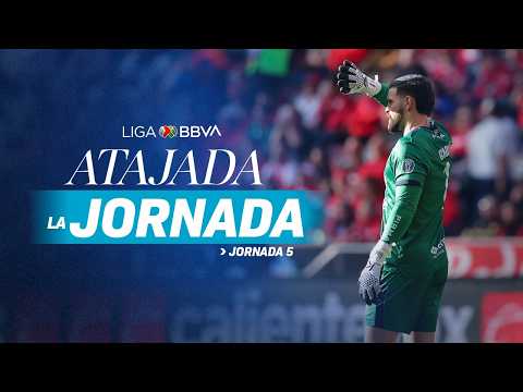 Vista previa del video de YouTube