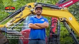 Expert Tree Removal Services in New Jersey: Safe, Efficient, and Affordable | Tree Ya Later