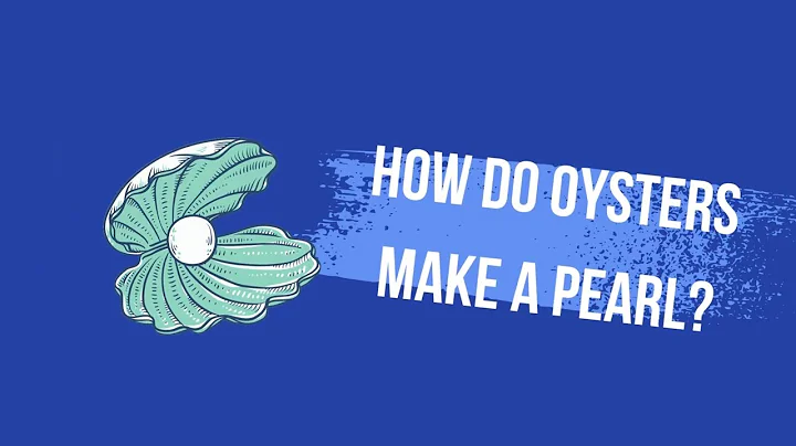 How oysters make pearls? | How are pearls made? | How are pearls made inside oysters?