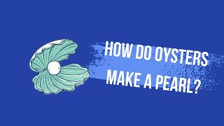 How oysters make pearls? | How are pearls made? | How are pearls made inside oysters?