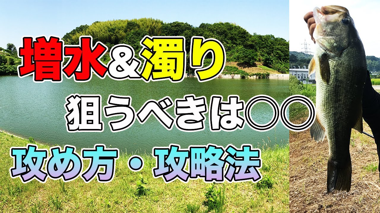 バス釣り 増水した時のルアー ワームの選び方と使い方 濁りのカラー 色 セレクトや攻略ポイントも解説してみた 春のバス釣り Youtube