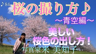 【撮影術】桜色と青空をキレイに出す撮り方♪《桜の撮り方 〜青空編〜》