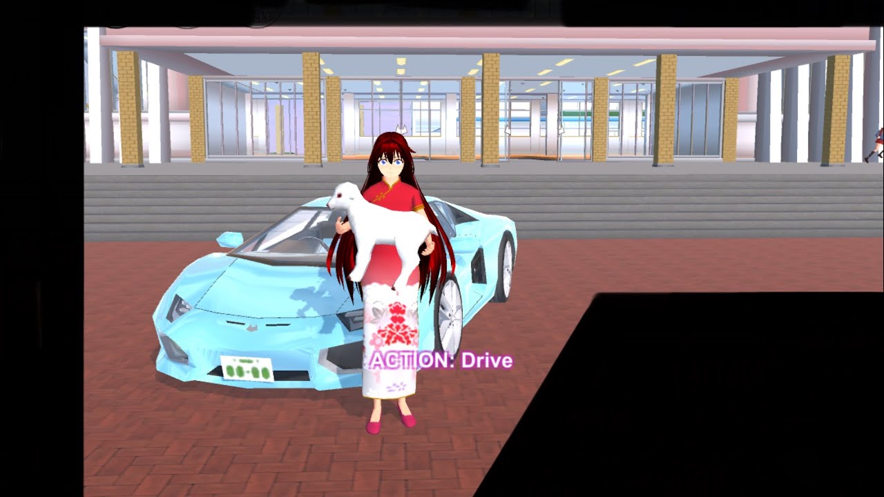 Living in a Hotel || Adopting a lamb || Crazy Lamborghini driving || School lesson gone wrong || SSS