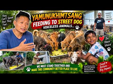ONE MEAL,ONE LIFE,ONE BETTER COMMUNITY || YAMUNAKHIMTSANG || FEEDING STREET DOGS || TIBETAN VLOGGER