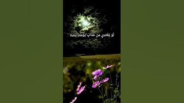 #سورة المعارج بصوت حمزة بوديب 🤲#القرآن الكريم #سورة المعارج