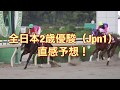 全日本2歳優駿(Jpn1) 直感予想!