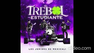 Los Juniors de Mexicali - El Trébol y El Estudiante ( 8d audio - 360 )
