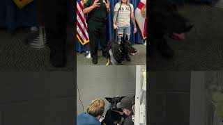 Police Dog Ace Survives Being Shot in the Line of Duty | Κ9