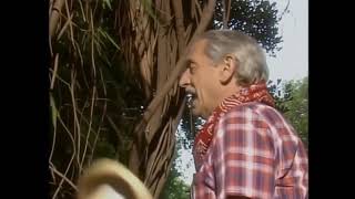 video 947325625141856