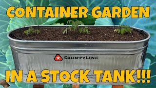 Stock Tank Container Garden - Cheap & Easy Garden UPGRADE!
