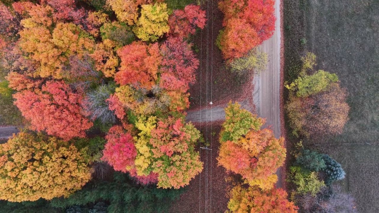 It's beginning to look a lot like Autumn.  Incredible Michigan fall foliage in 4K.