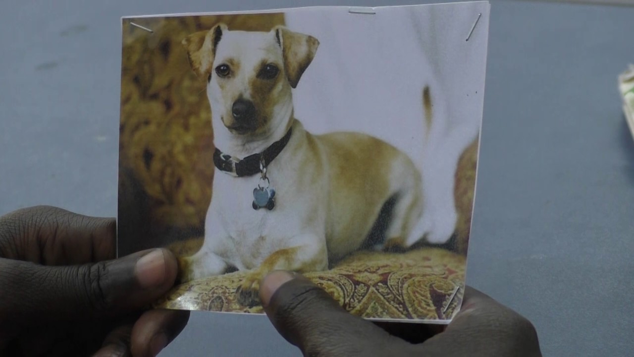 קולנוע יעלים - תרגיל בקולנוע  ד 1   תשע