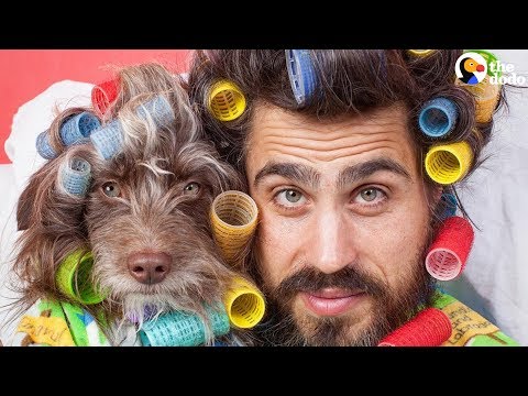 Dog And His Dad Are Basically Twins | The Dodo - Dog And His Dad Are Basically Twins | The Dodo