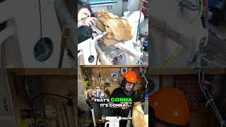 Peeling Bark Off Wood: Satisfying Visual ASMR Transformation! #shorts