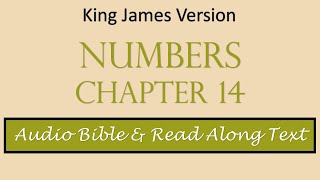 Numbers 14 | KJV DRAMATIZED AUDIO BIBLE WITH TEXT