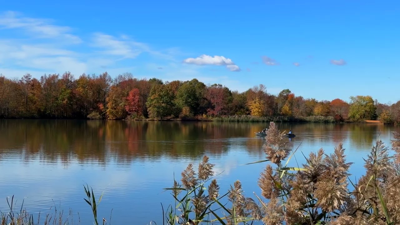 Discover the Magic of Autumn Lake | Best Video For Nature Lovers | Nature’s Beauty Awaits You.