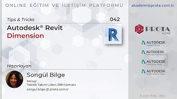 Autodesk Revit Tips & Tricks - Dimension
