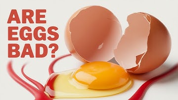 What happens if you eat eggs every day? (You